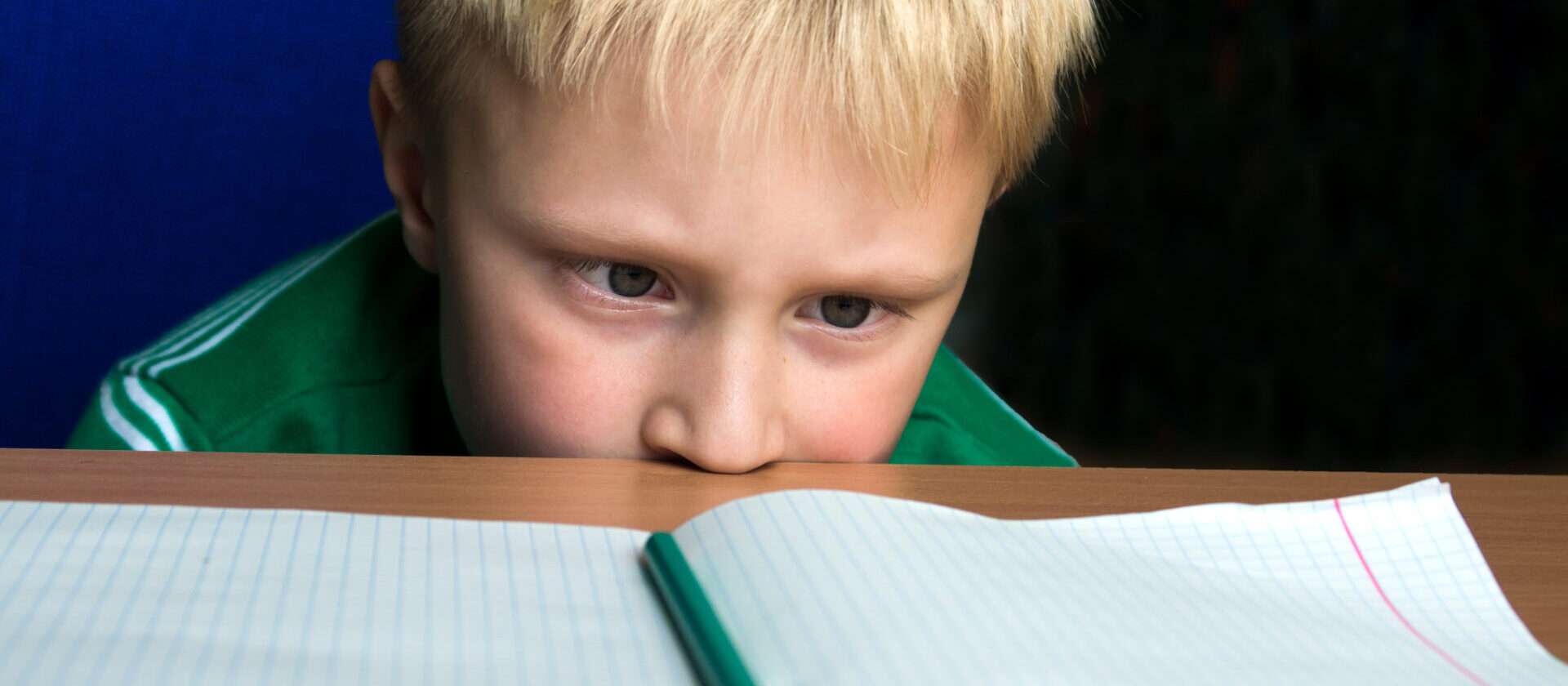 開いた日本語のノートを見ている少年。