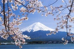 英会話のレッスン中に見た富士山と桜。