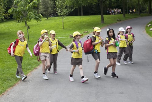 黄色いスカウトの制服を着た女の子のグループが、活気に満ちた英会話をしながら道を歩いています。