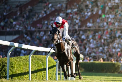 熱狂的な観衆が見守る中、馬にまたがってレースをする騎手。 (英語、乗馬)
