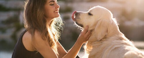 英会話セッション中にゴールデンレトリバーを撫でながら英語を練習する女性。