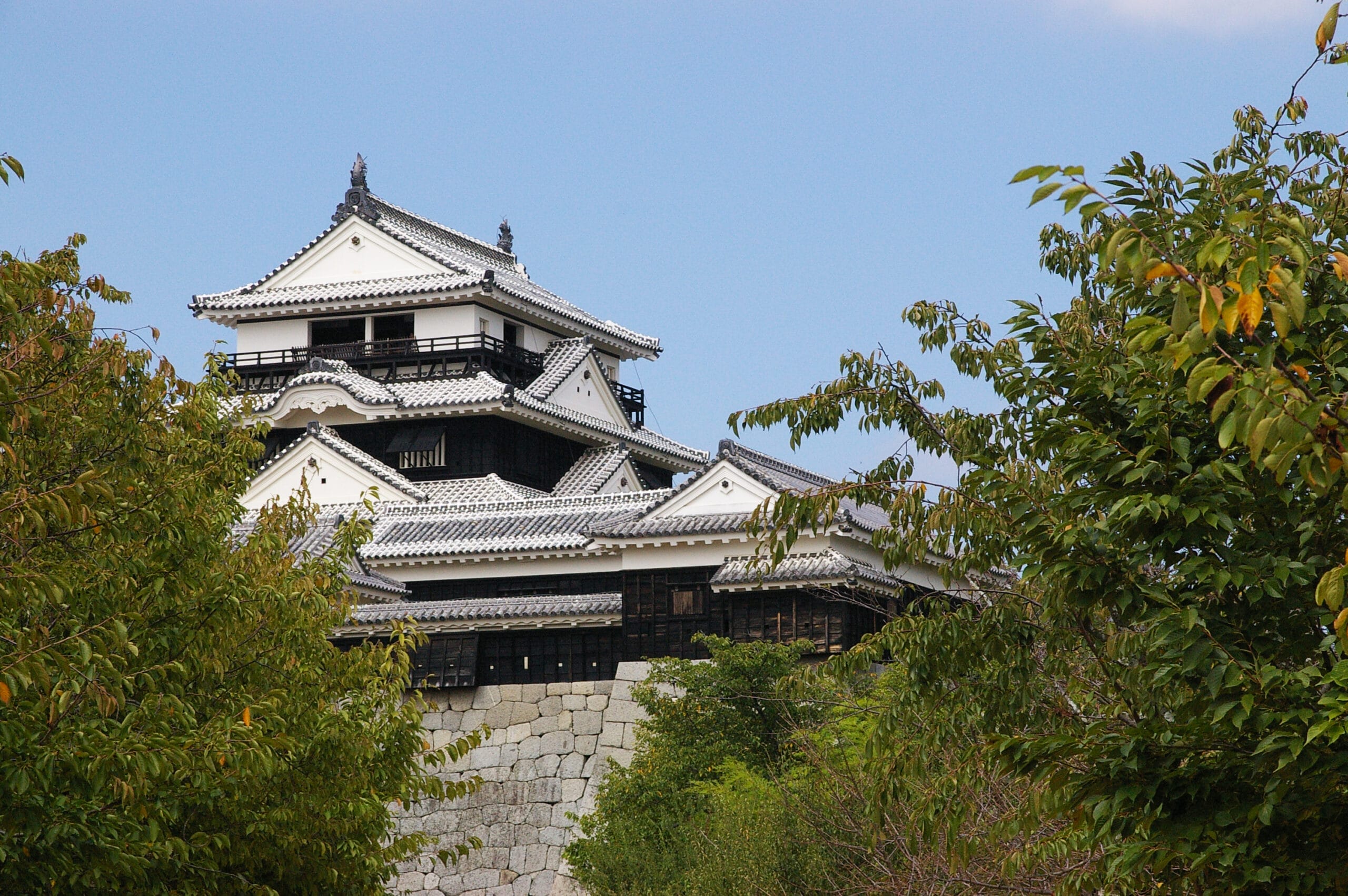 愛媛・松山の澄んだ青空の下、緑の葉の間から白い壁と暗い屋根の伝統的な日本の城が一部見えます。そこでは、コミュニケーションスキルを高める英会話スクールマンツーマンもあります。.