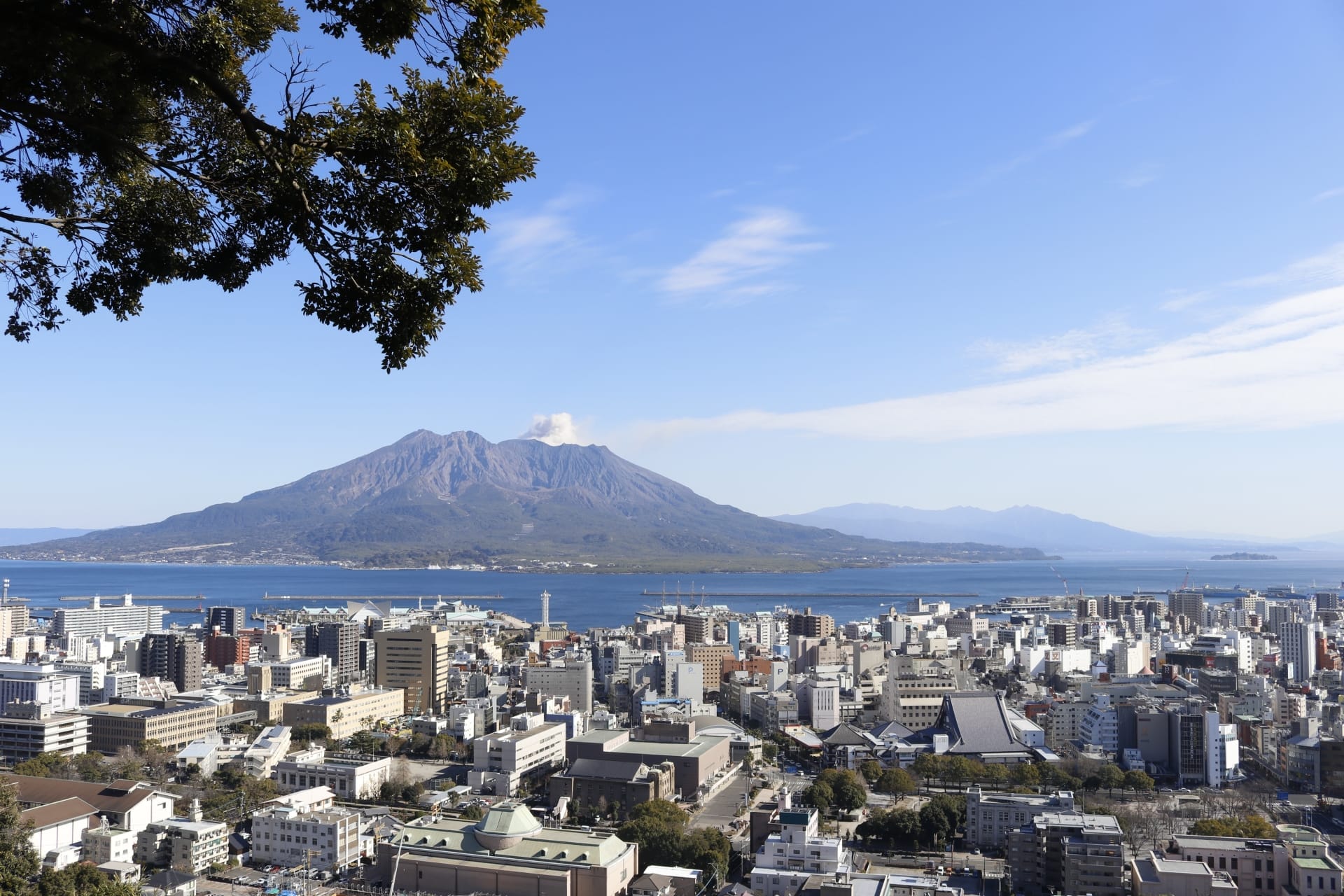 鹿児島湾、遠くの火山、澄んだ空の下の山々、前景に木の枝が見える街並み。.