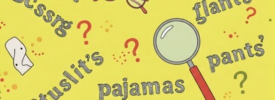 はさみ、メガネ、ズボンなどのオブジェクトのイラストが、英語でその名前で囲まれており、すべて引用符と疑問符が追加されており、「複数形名詞」を参照しています。.